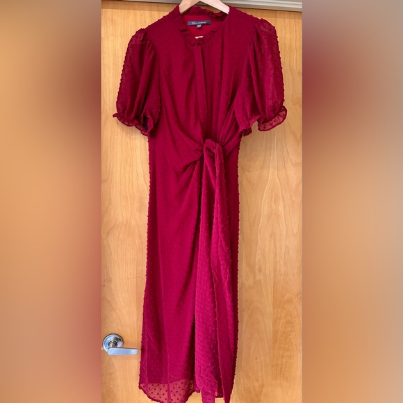 Cranberry waist tie swiss dot dress - Picture 6 of 6